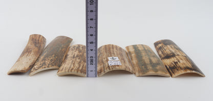 Natural mammoth bark pieces