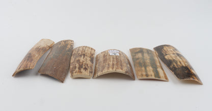 Natural mammoth bark pieces