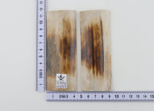 Natural mammoth bark scales