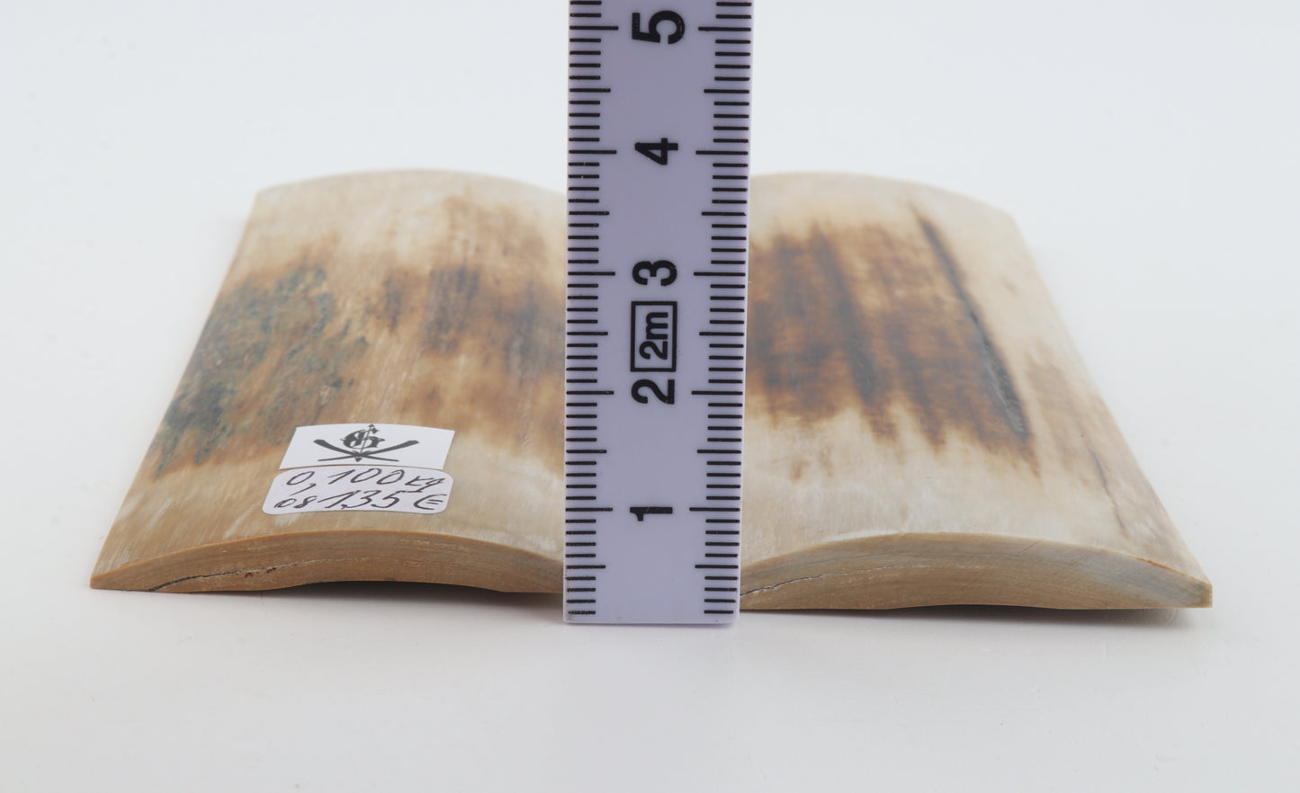 Natural mammoth bark scales