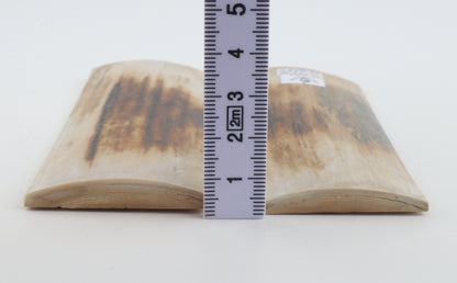 Natural mammoth bark scales