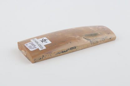 Stabilised mammoth bark piece