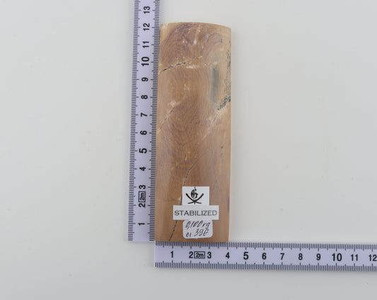 Stabilised mammoth bark piece