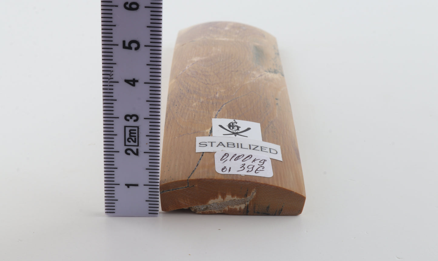 Stabilised mammoth bark piece