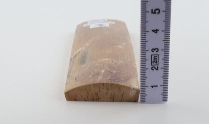 Stabilised mammoth bark piece