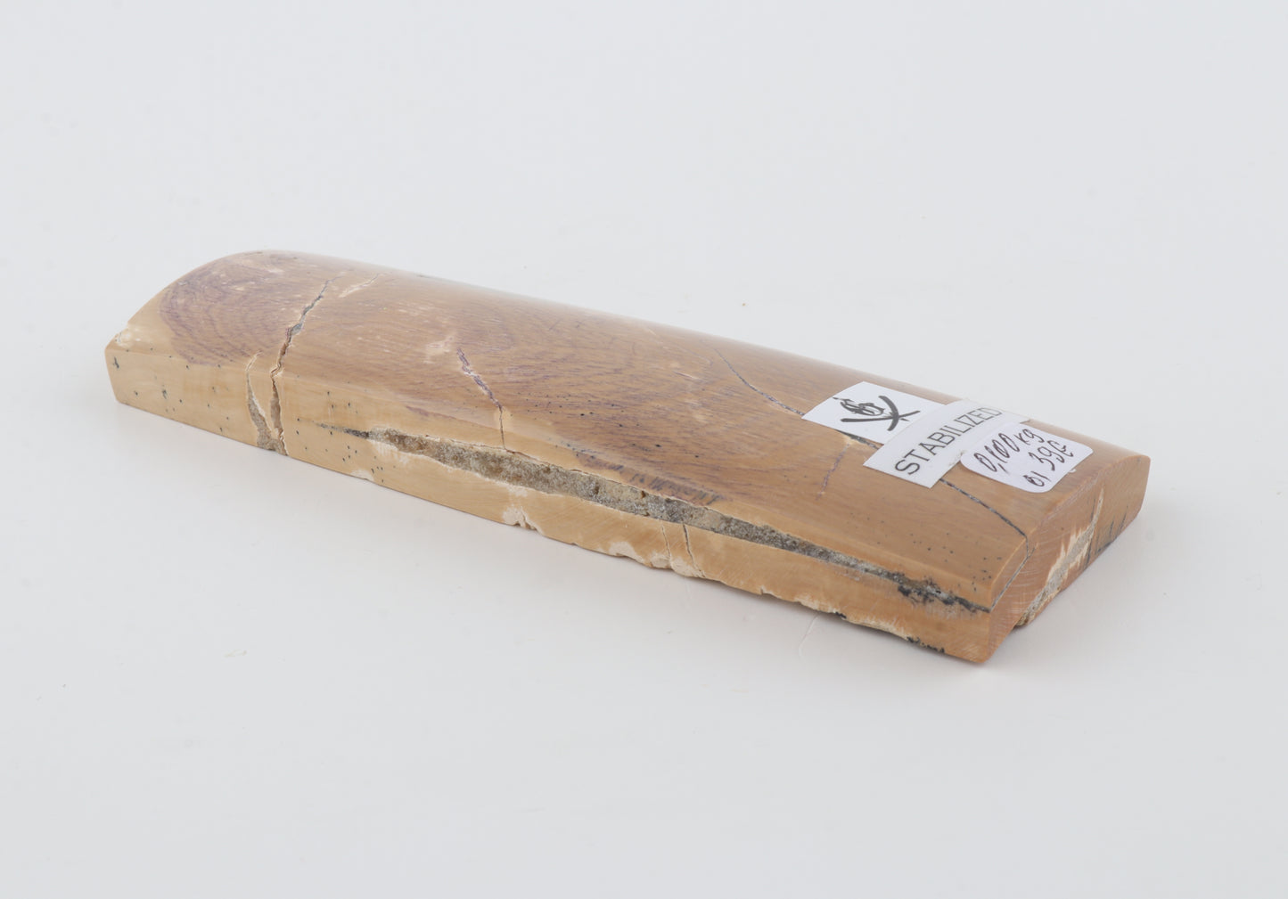 Stabilised mammoth bark piece