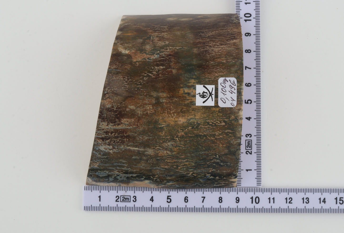 Green-brown mammoth bark