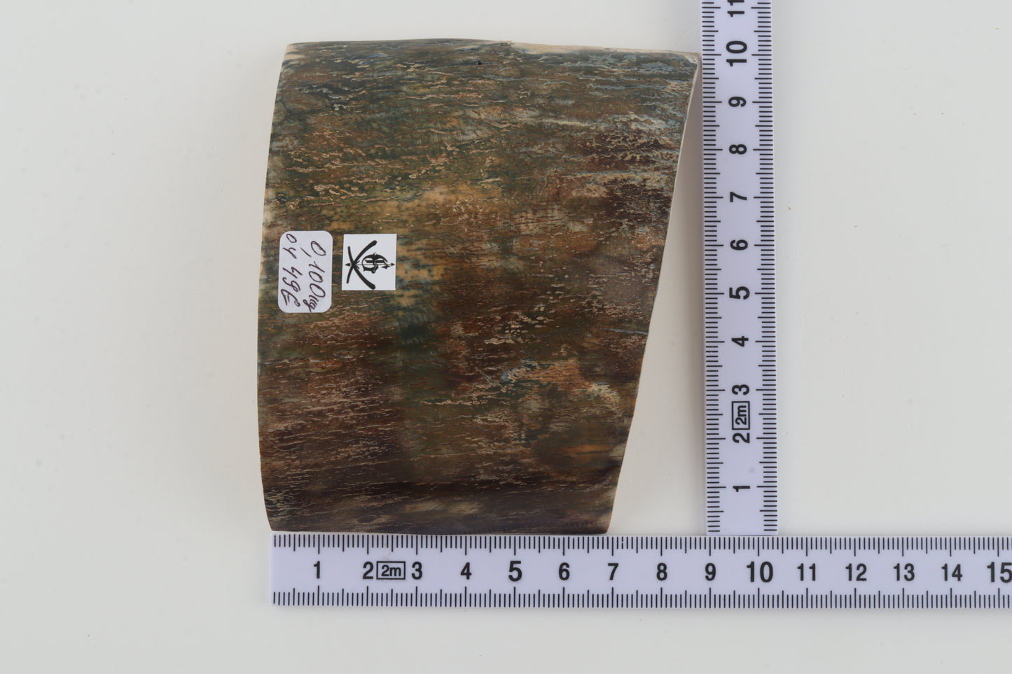 Green-brown mammoth bark