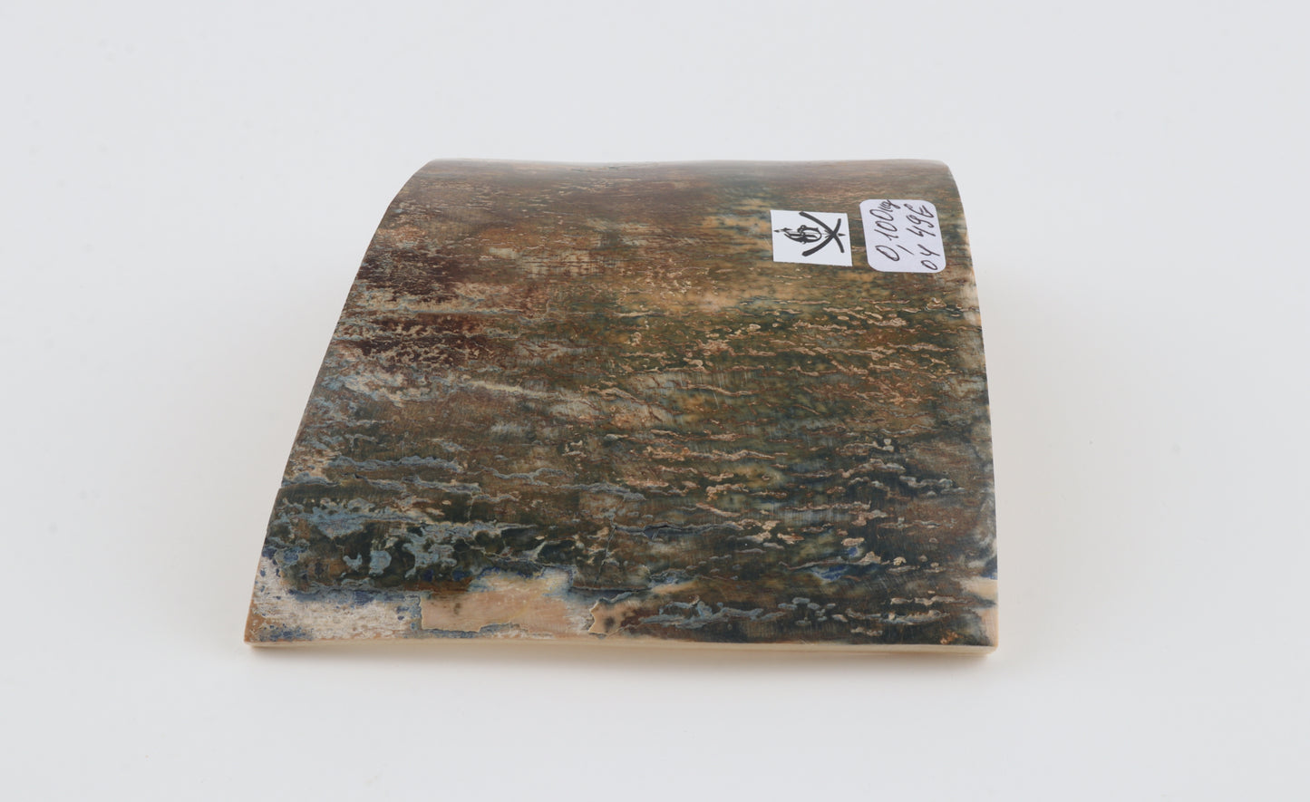 Green-brown mammoth bark