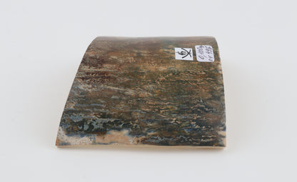 Green-brown mammoth bark