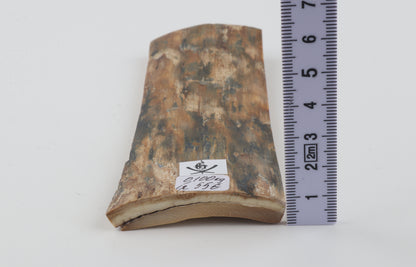 Beige-blue mammoth bark