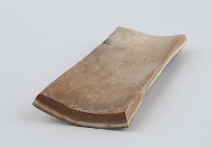 Beige-blue mammoth bark