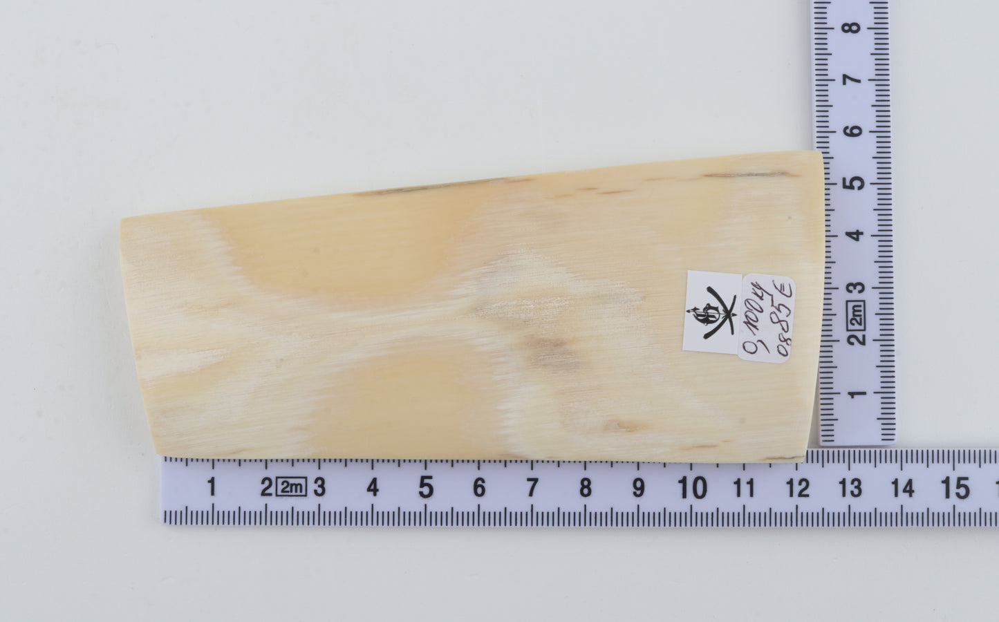 White mammoth ivory piece