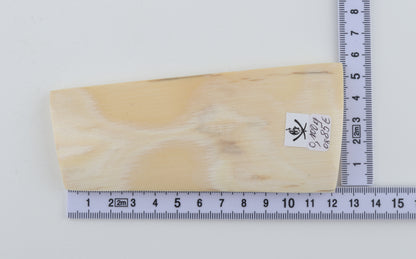 White mammoth ivory piece