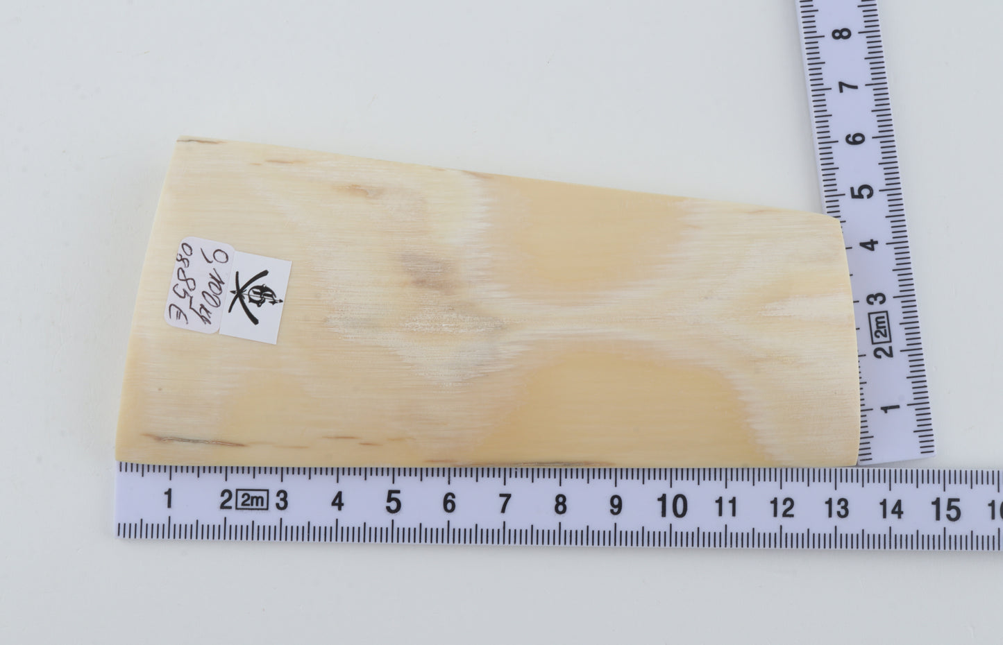 White mammoth ivory piece