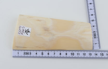 White mammoth ivory piece