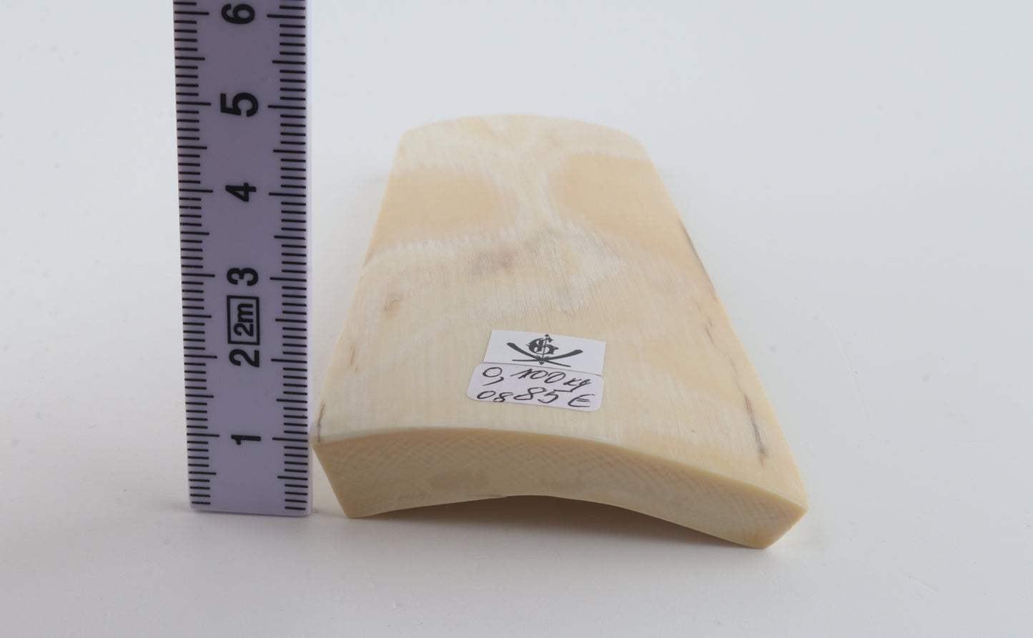 White mammoth ivory piece