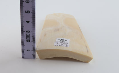 White mammoth ivory piece