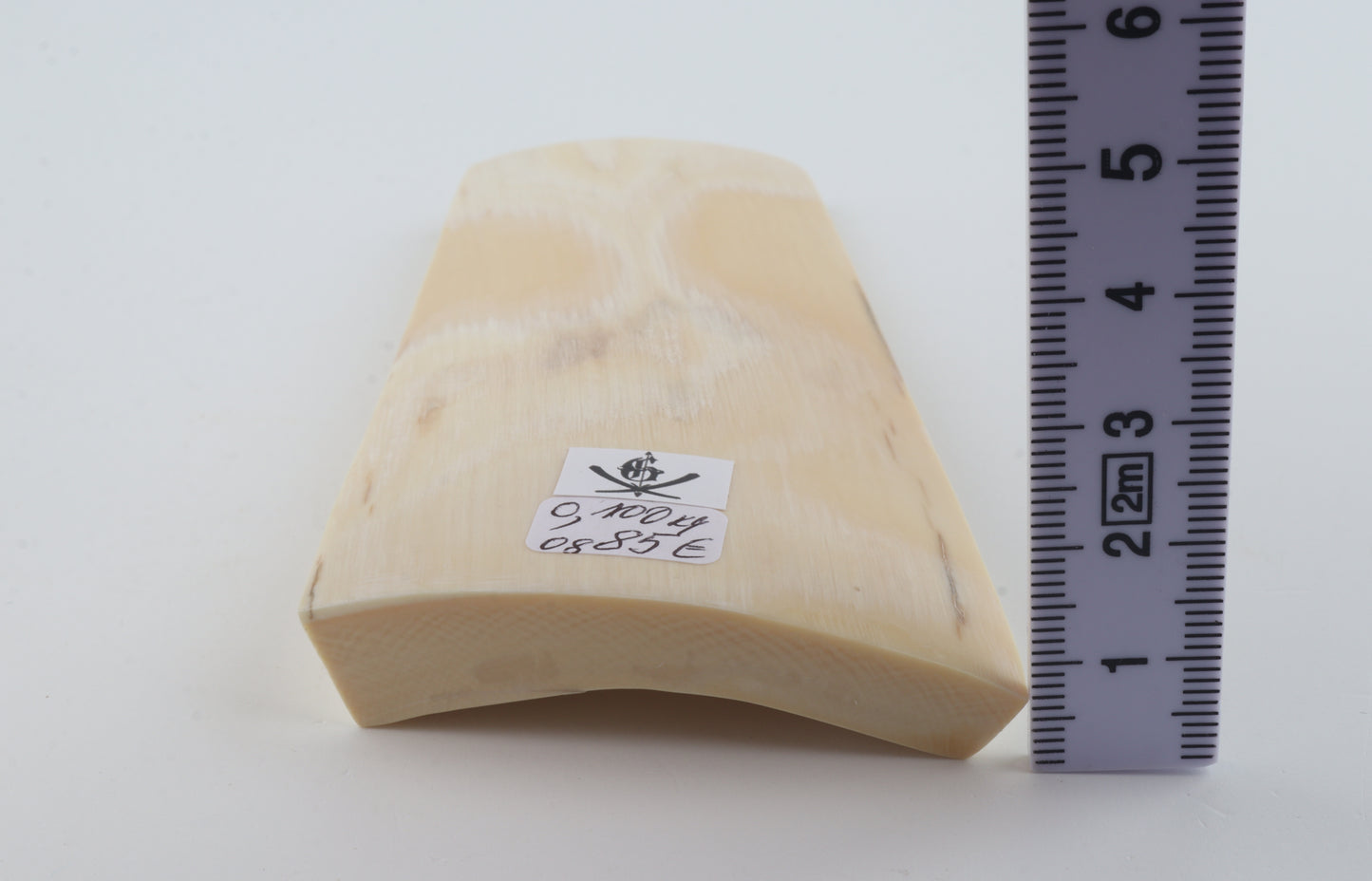 White mammoth ivory piece