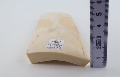 White mammoth ivory piece