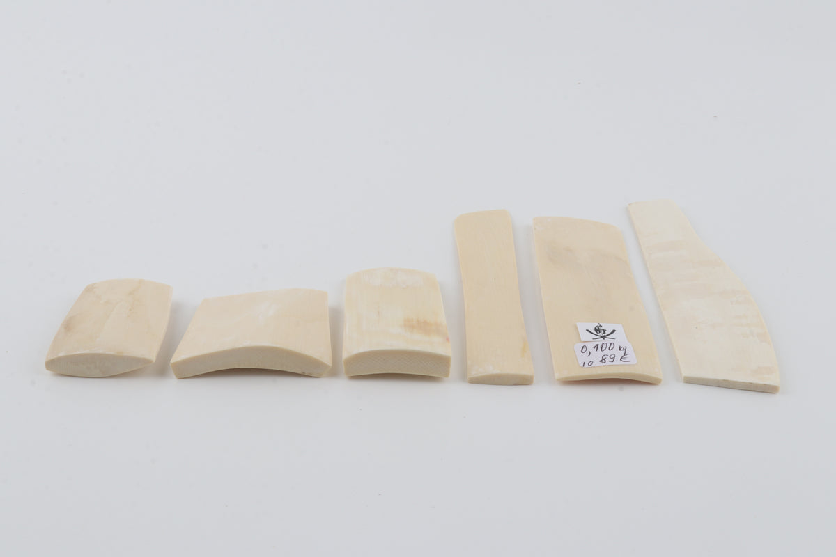 White mammoth ivory pieces