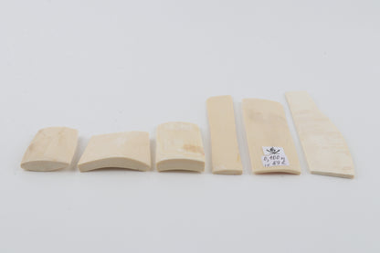 White mammoth ivory pieces