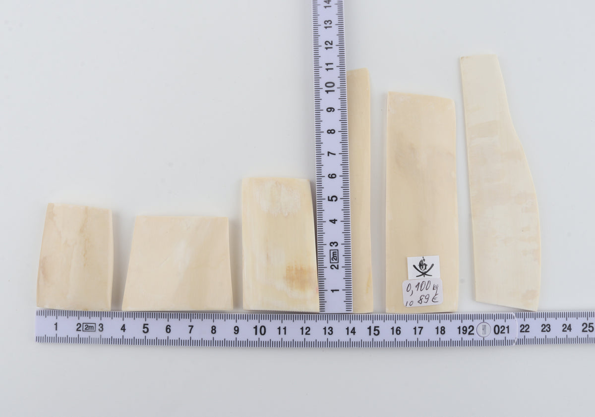 White mammoth ivory pieces