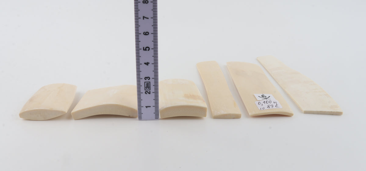 White mammoth ivory pieces