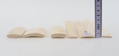 White mammoth ivory pieces