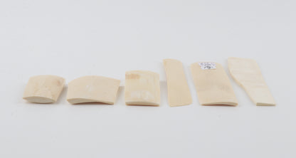 White mammoth ivory pieces