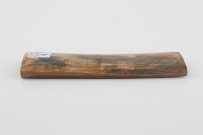 Natural woolly mammoth bark