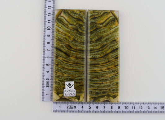 Stabilized mammoth molar scales