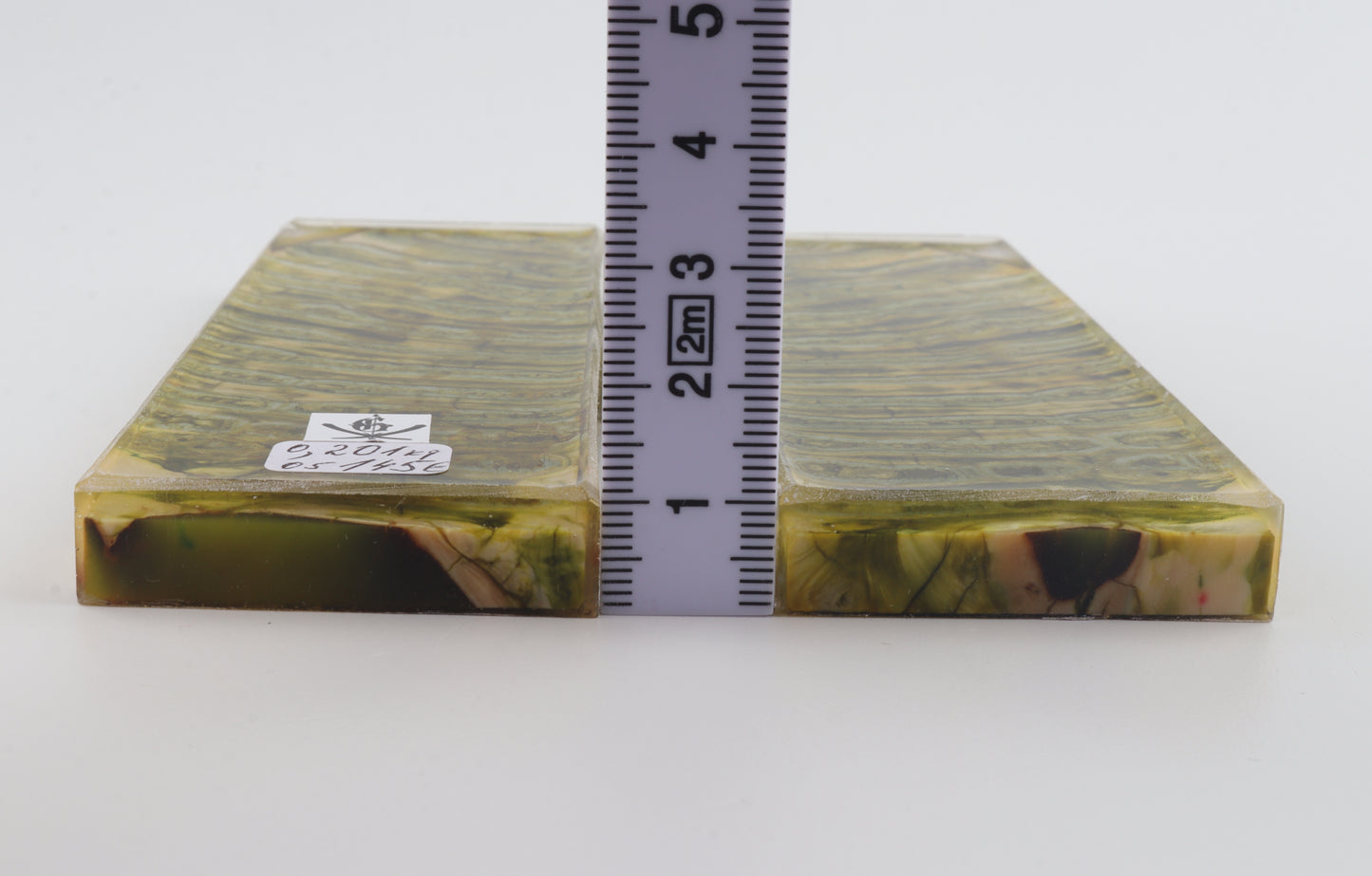 Stabilized mammoth molar scales