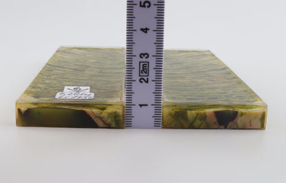 Stabilized mammoth molar scales