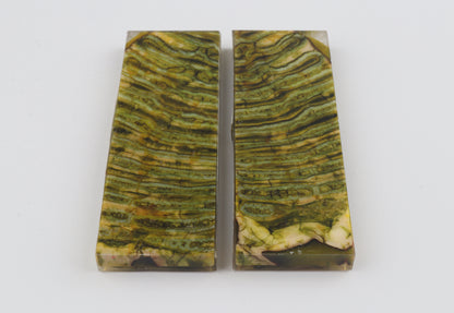 Stabilized mammoth molar scales