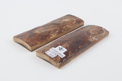 Stabilized mammoth bark scales