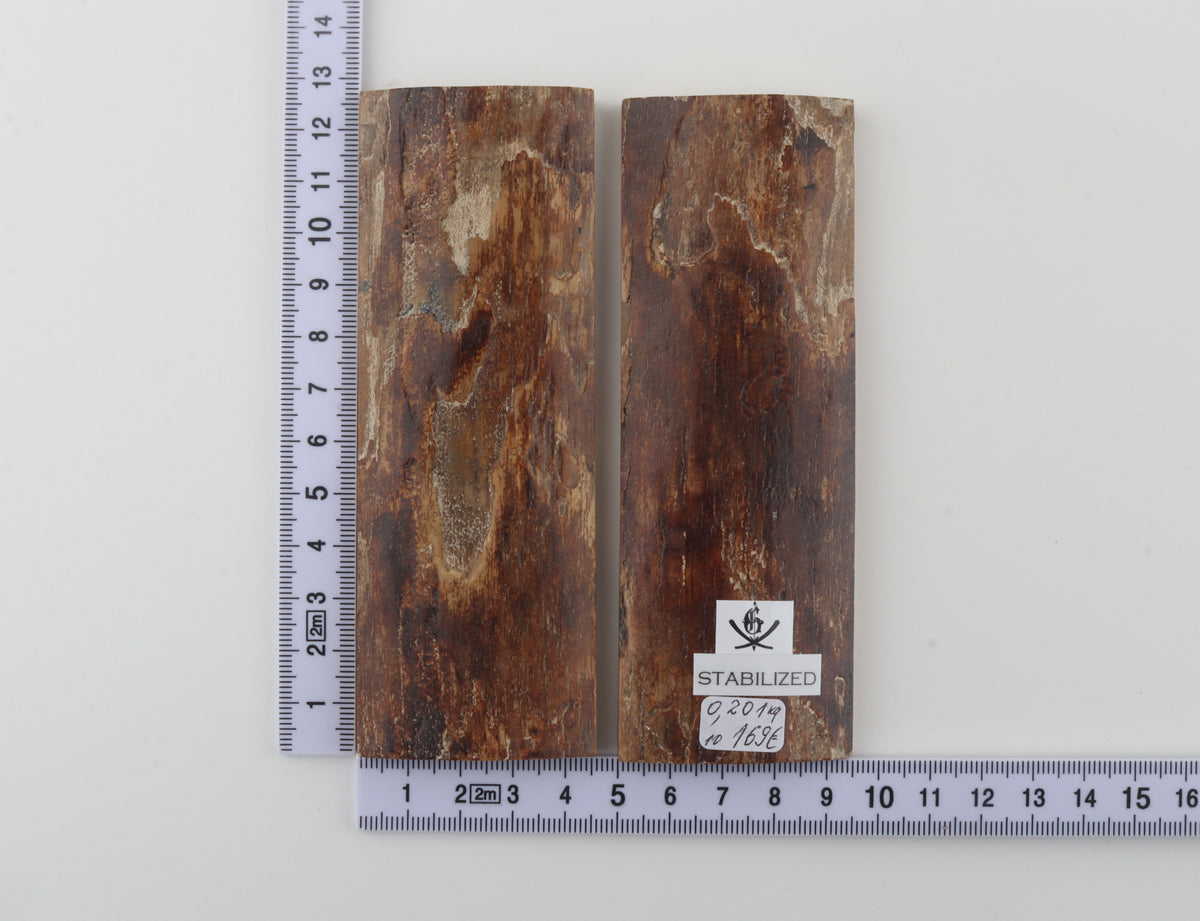Stabilized mammoth bark scales