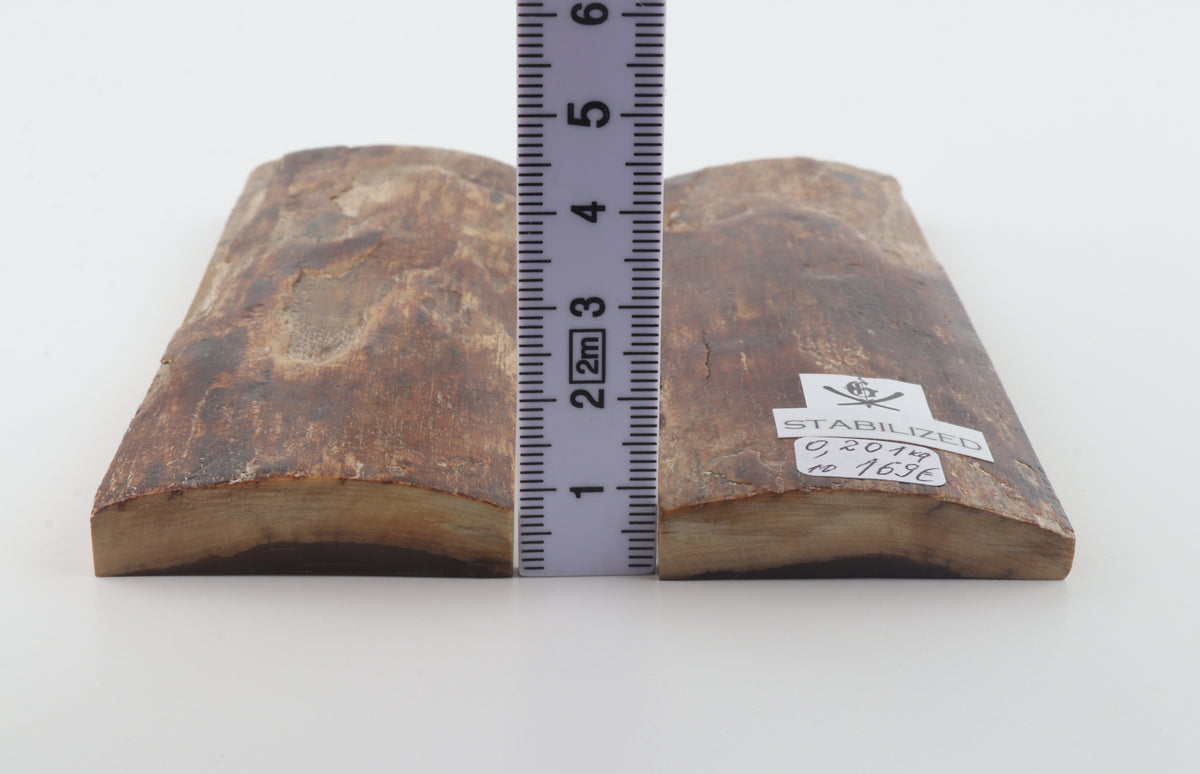 Stabilized mammoth bark scales