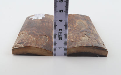 Stabilized mammoth bark scales