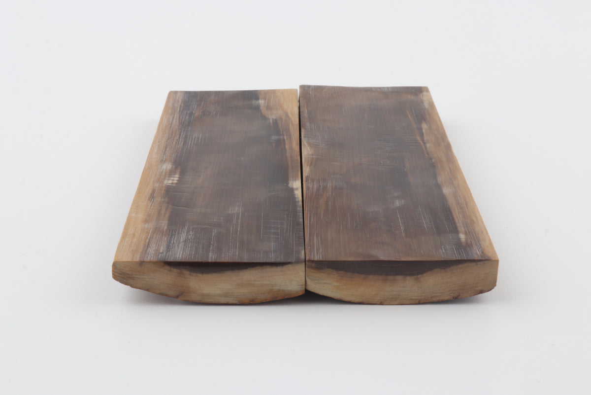 Stabilized mammoth bark scales