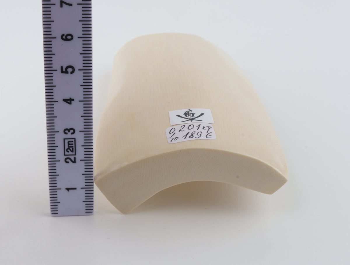 White mammoth ivory segment