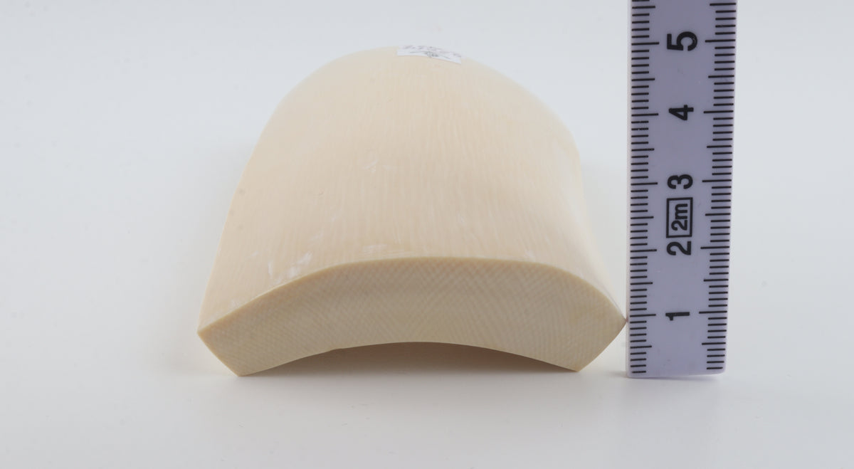 White mammoth ivory segment