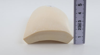White mammoth ivory segment
