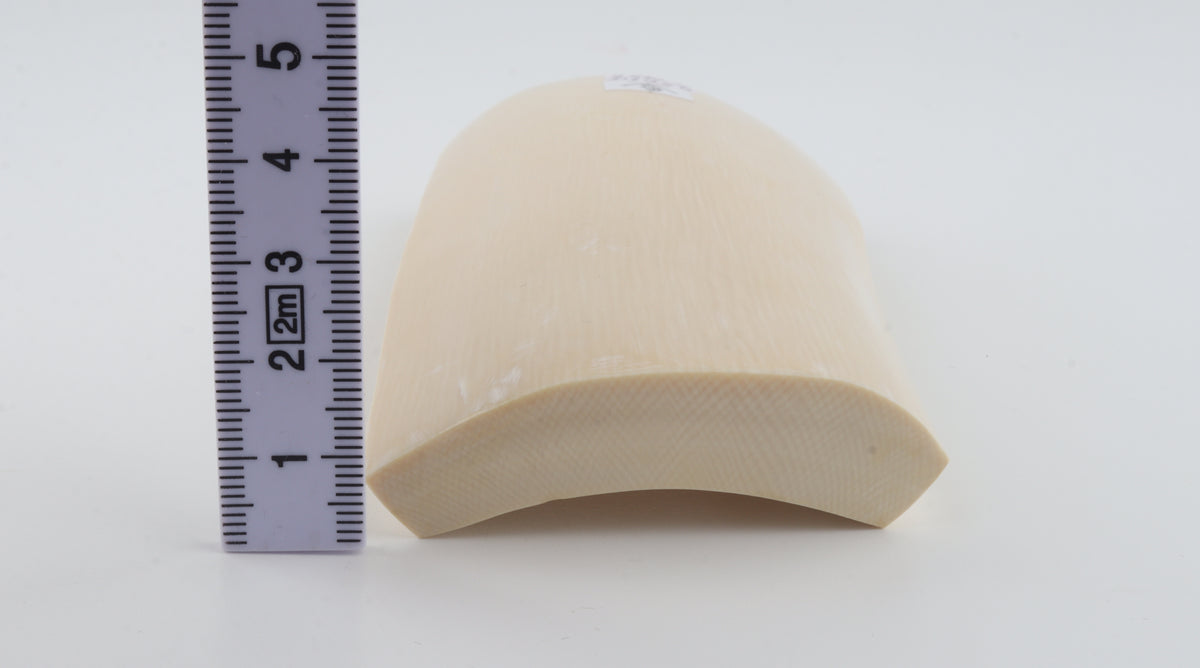 White mammoth ivory segment
