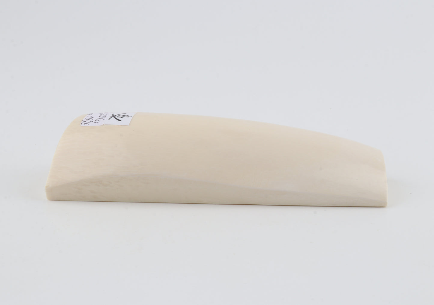 White mammoth ivory segment