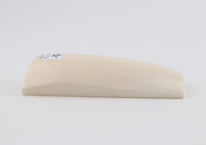 White mammoth ivory segment