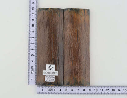 Stabilised mammoth bark scales