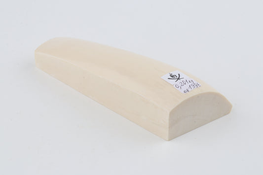 White mammoth ivory segment