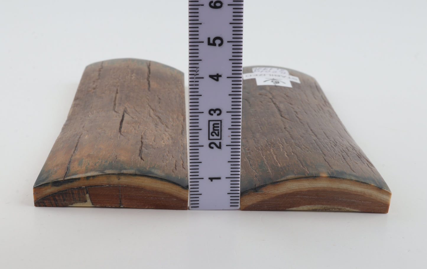 Stabilised mammoth bark scales
