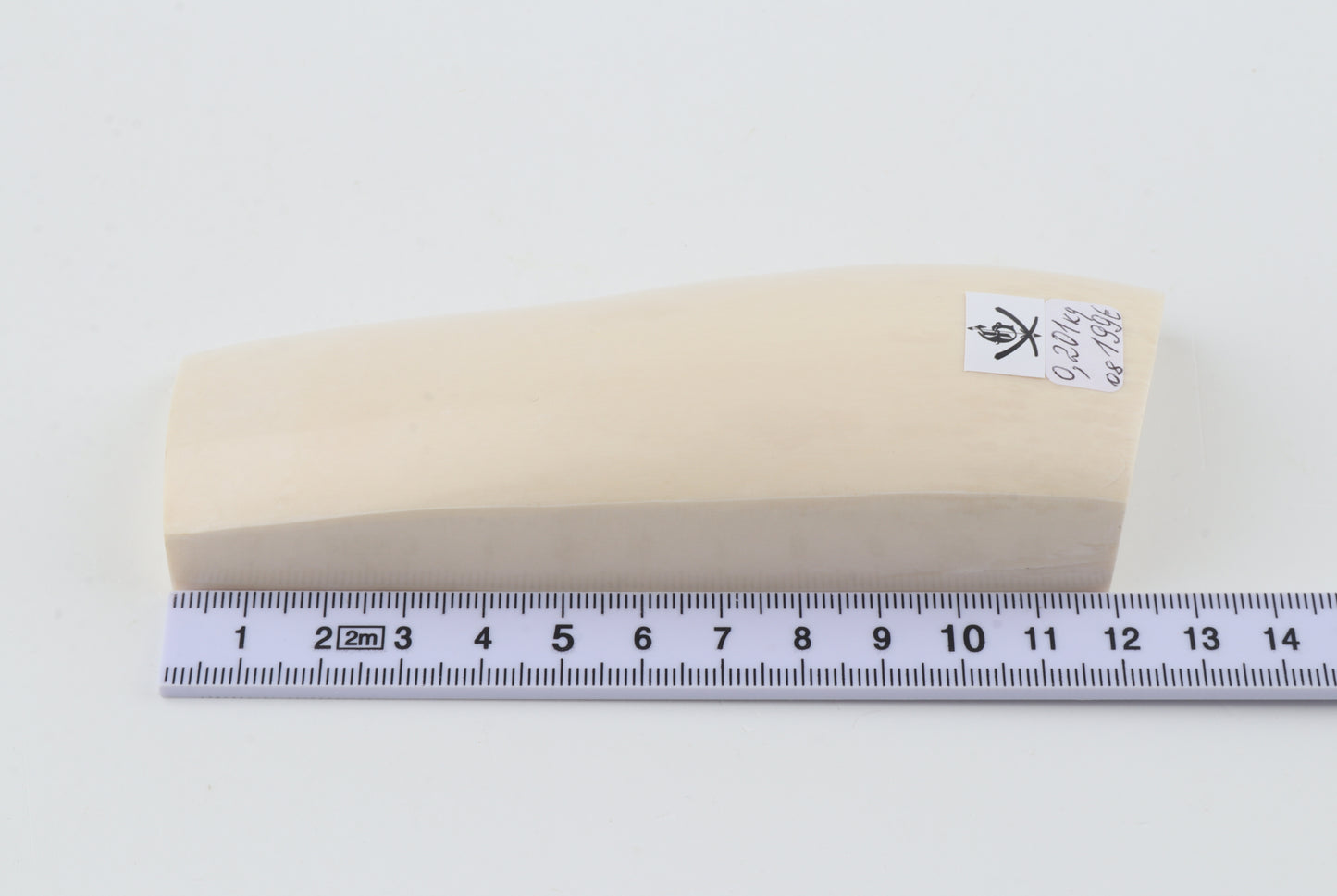 White mammoth ivory segment